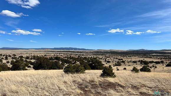 20 Acres of Recreational Land for Sale in Quemado, New Mexico