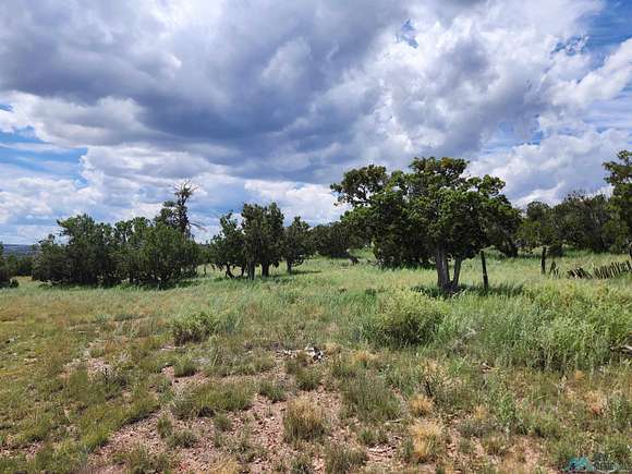 19.99 Acres of Recreational Land for Sale in Quemado, New Mexico