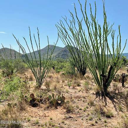 1.5 Acres of Residential Land for Sale in Tucson, Arizona
