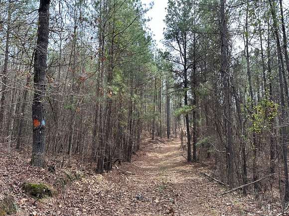 160 Acres of Recreational Land for Sale in Centreville, Alabama