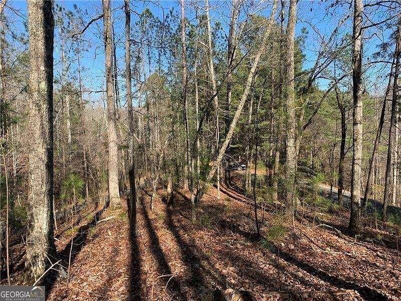 1.2 Acres of Residential Land for Sale in Ranger, Georgia