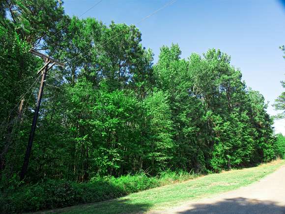 1.1 Acres of Residential Land for Sale in Jefferson, Texas