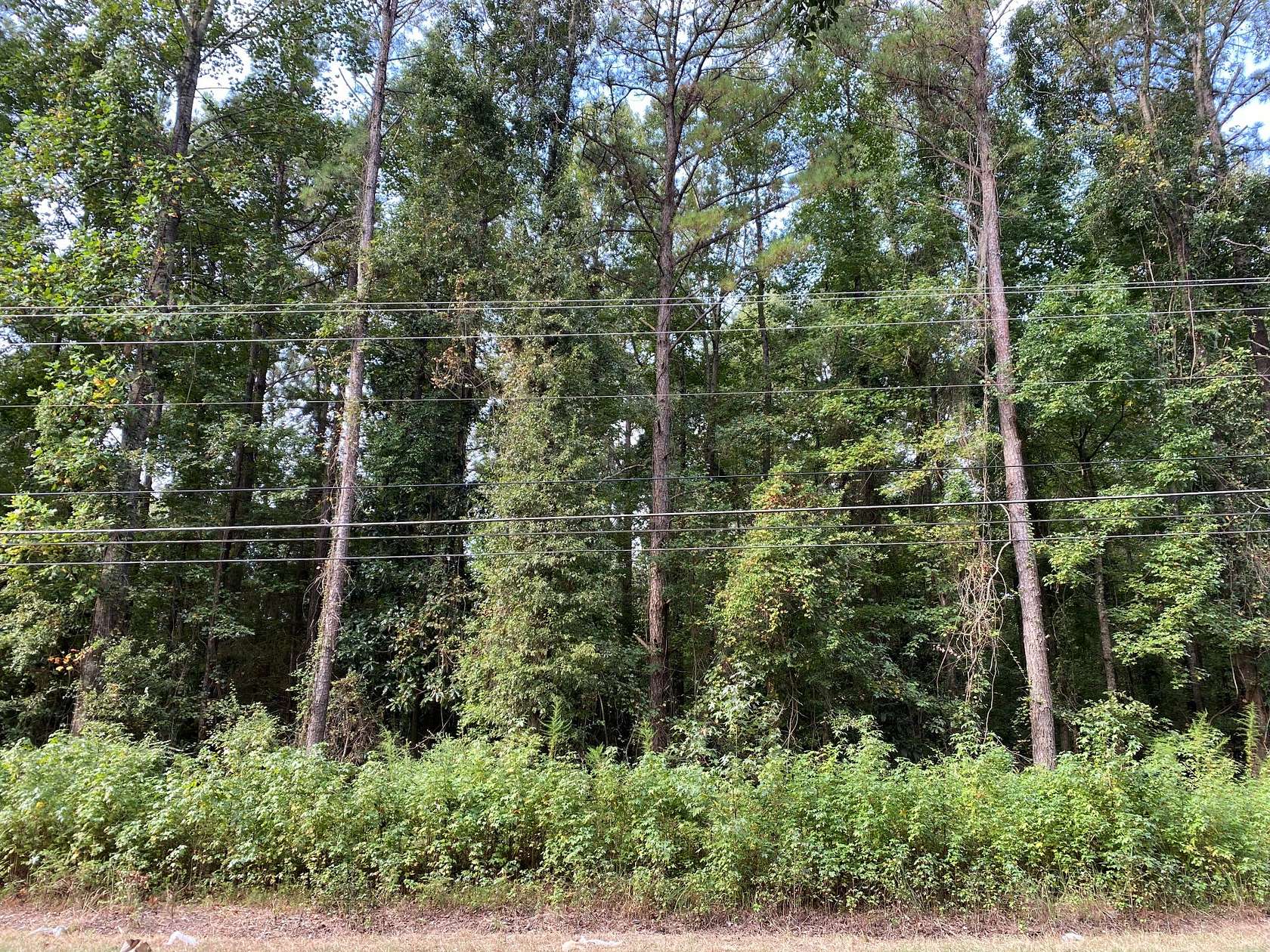 7.9 Acres of Mixed-Use Land for Sale in Selma, Alabama