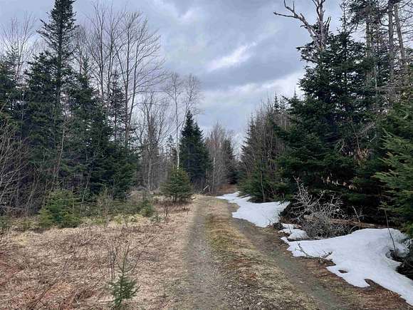 12.1 Acres of Land for Sale in Walden, Vermont
