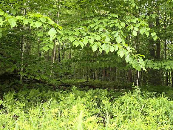 2.5 Acres of Residential Land for Sale in Stamford, Vermont
