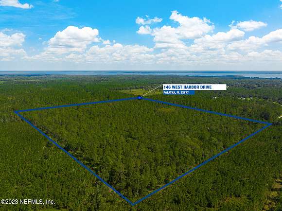 40.3 Acres of Recreational Land for Sale in Palatka, Florida