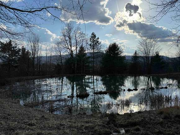 65.1 Acres of Recreational Land & Farm for Sale in Limestone, New York