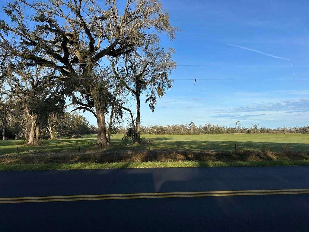 20 Acres of Agricultural Land for Sale in Mayo, Florida