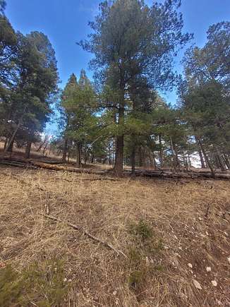 5 Acres of Residential Land for Sale in Cloudcroft, New Mexico