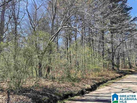 1 Acre of Land for Sale in Springville, Alabama