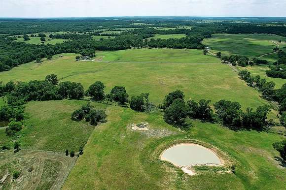 132 Acres of Land for Auction in Palestine, Texas