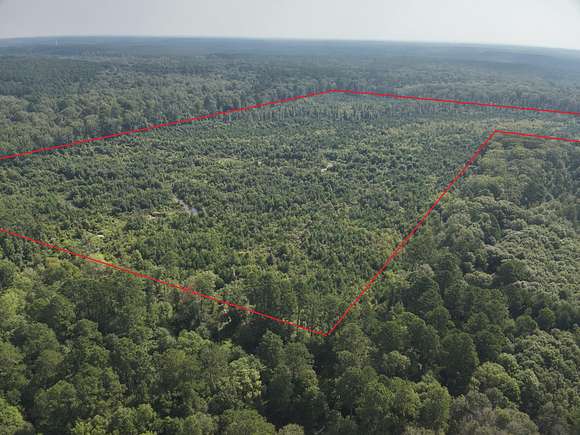 100 Acres of Recreational Land & Farm for Sale in Junction City, Arkansas