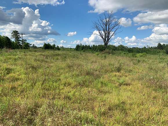 91.1 Acres of Land for Sale in Fouke, Arkansas