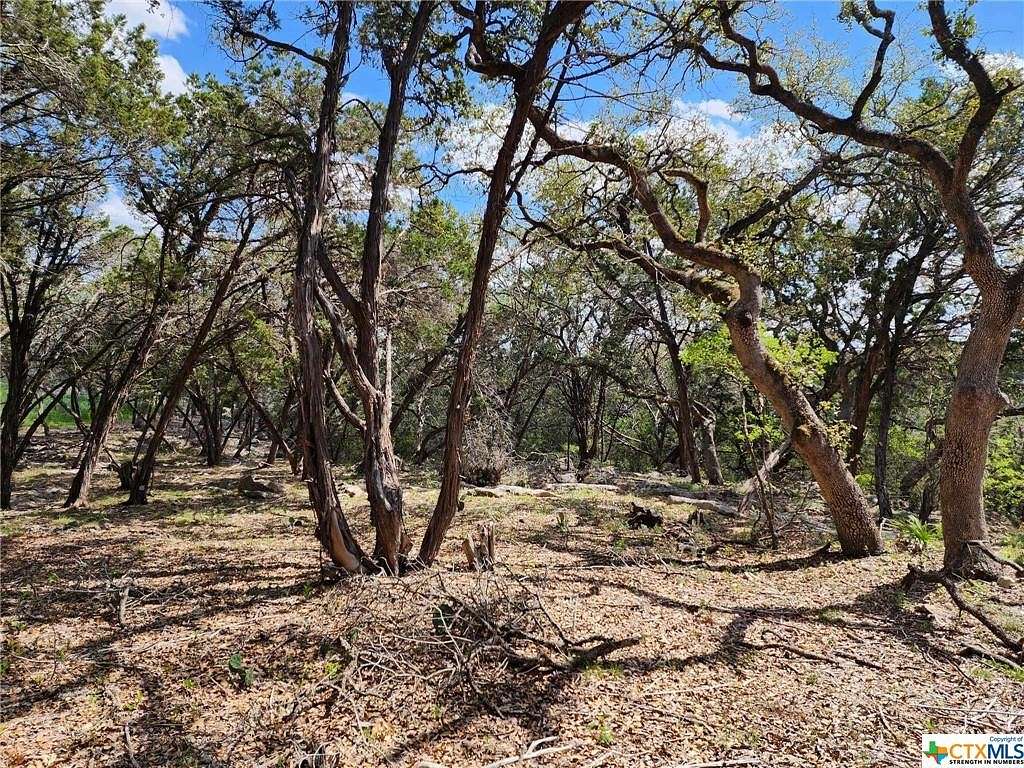 0.73 Acres of Residential Land for Sale in Spring Branch, Texas