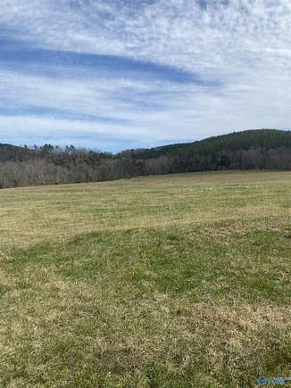 68 Acres of Recreational Land for Sale in Vina, Alabama