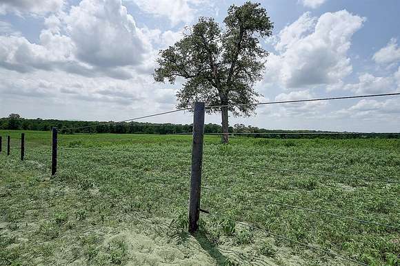 10 Acres of Land for Auction in Palestine, Texas