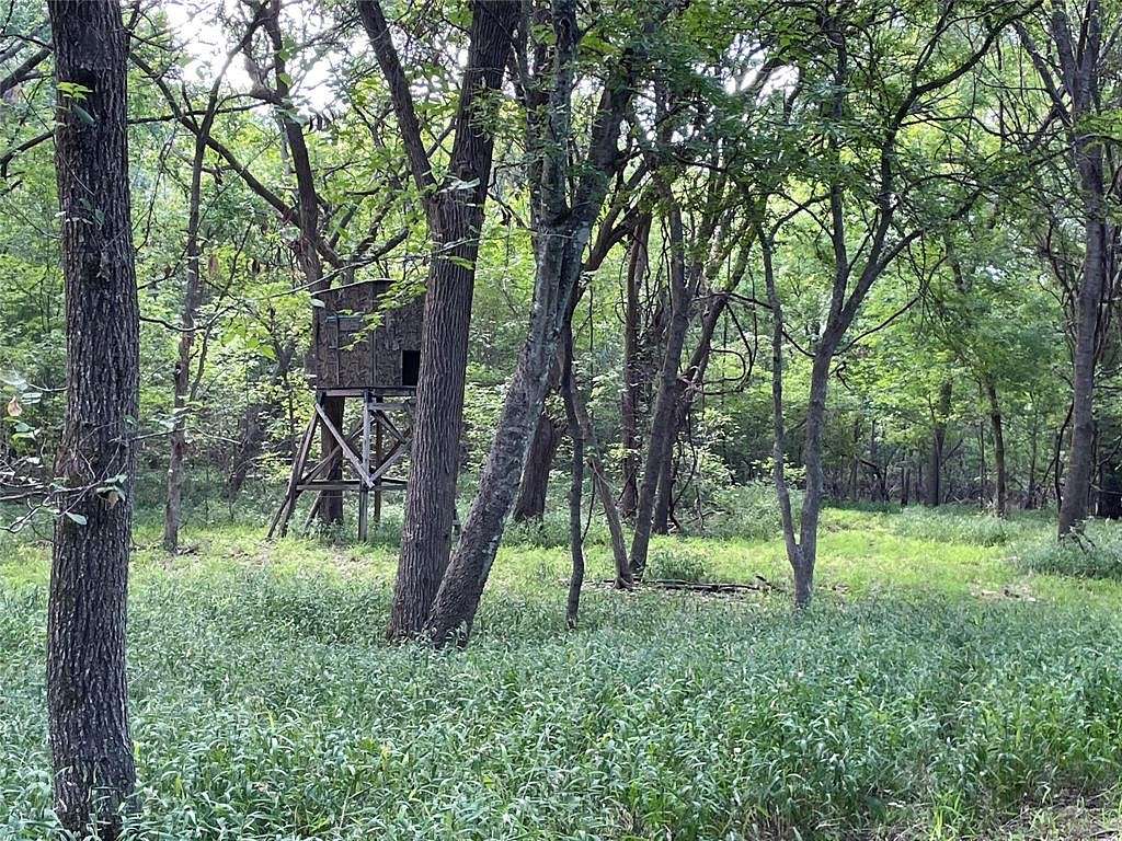 19.7 Acres of Recreational Land for Sale in Frost, Texas