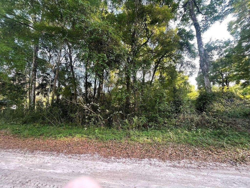 0.31 Acres of Residential Land for Sale in Belleview, Florida