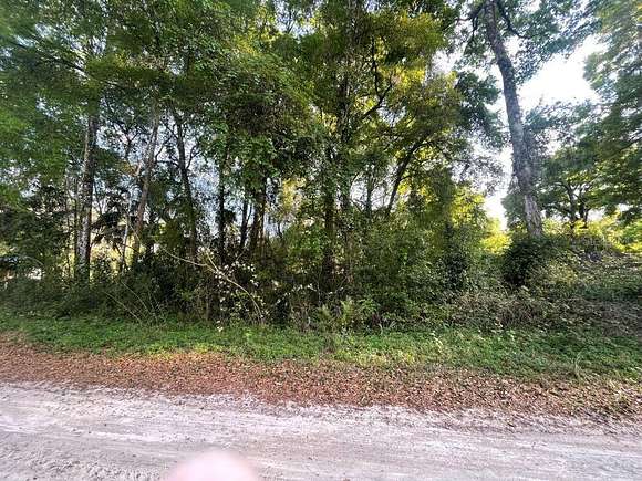 0.31 Acres of Residential Land for Sale in Belleview, Florida