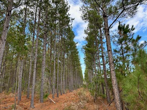 181 Acres of Land for Sale in Hemingway, South Carolina