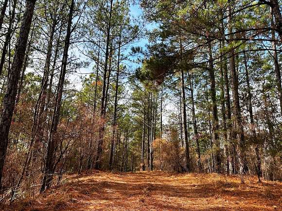 139.5 Acres of Land for Sale in Hattiesburg, Mississippi