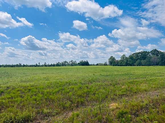 20 Acres of Agricultural Land for Sale in Mauk, Georgia