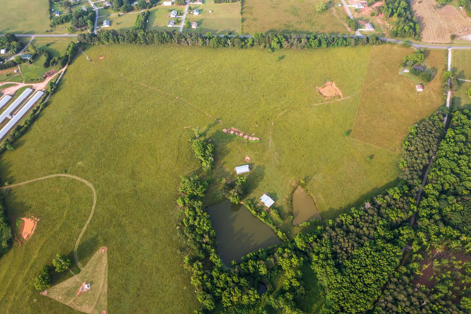 22.6 Acres of Agricultural Land for Sale in Winterville, Georgia