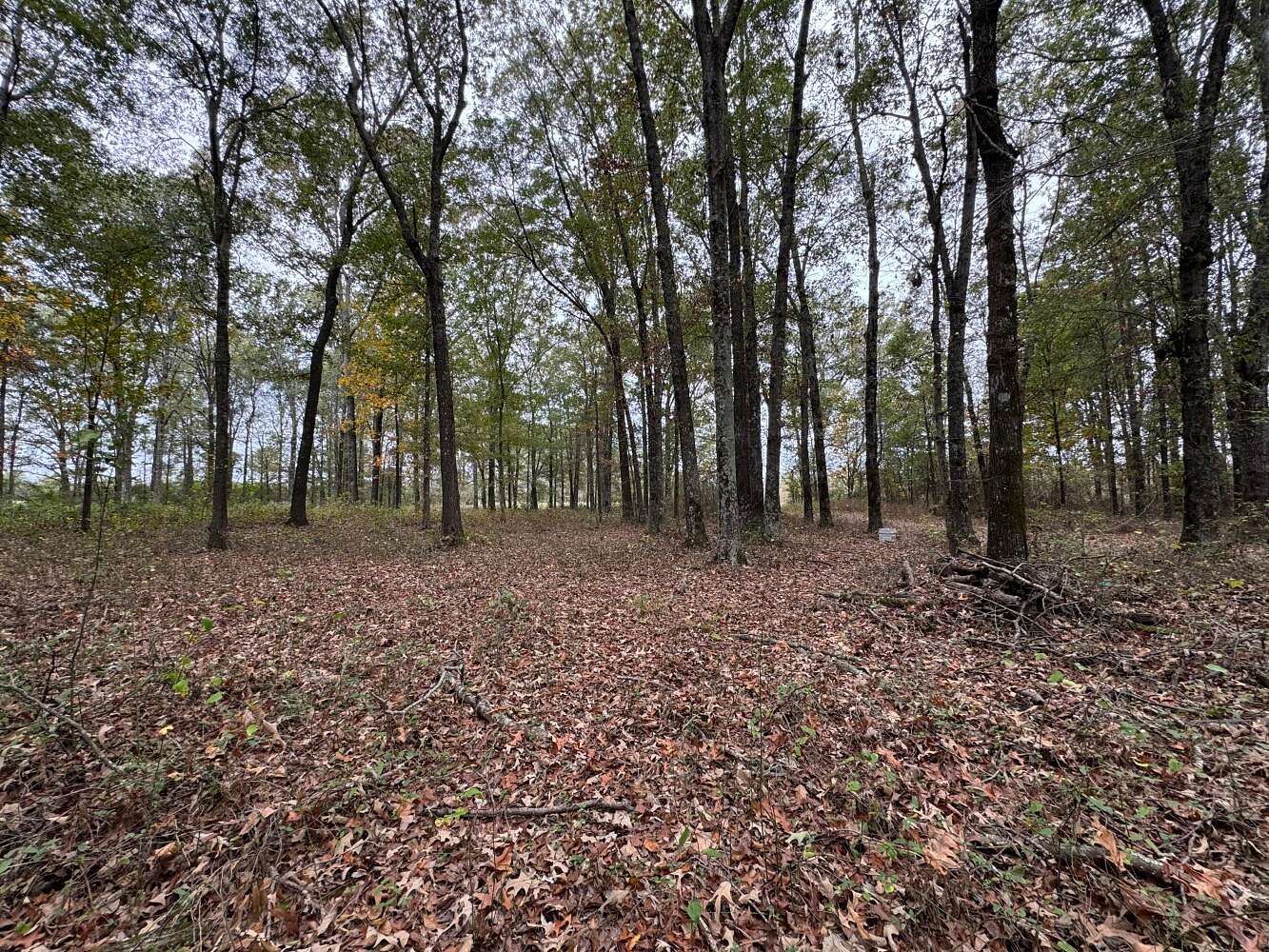 3.1 Acres of Land for Sale in Beebe, Arkansas