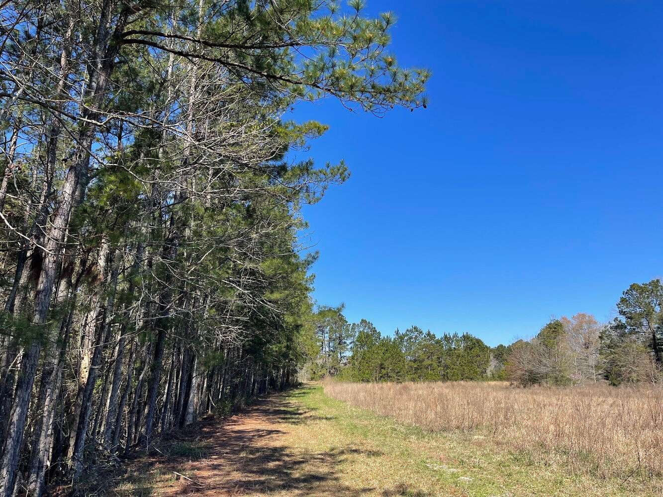 5.8 Acres of Land for Sale in Calabash, North Carolina