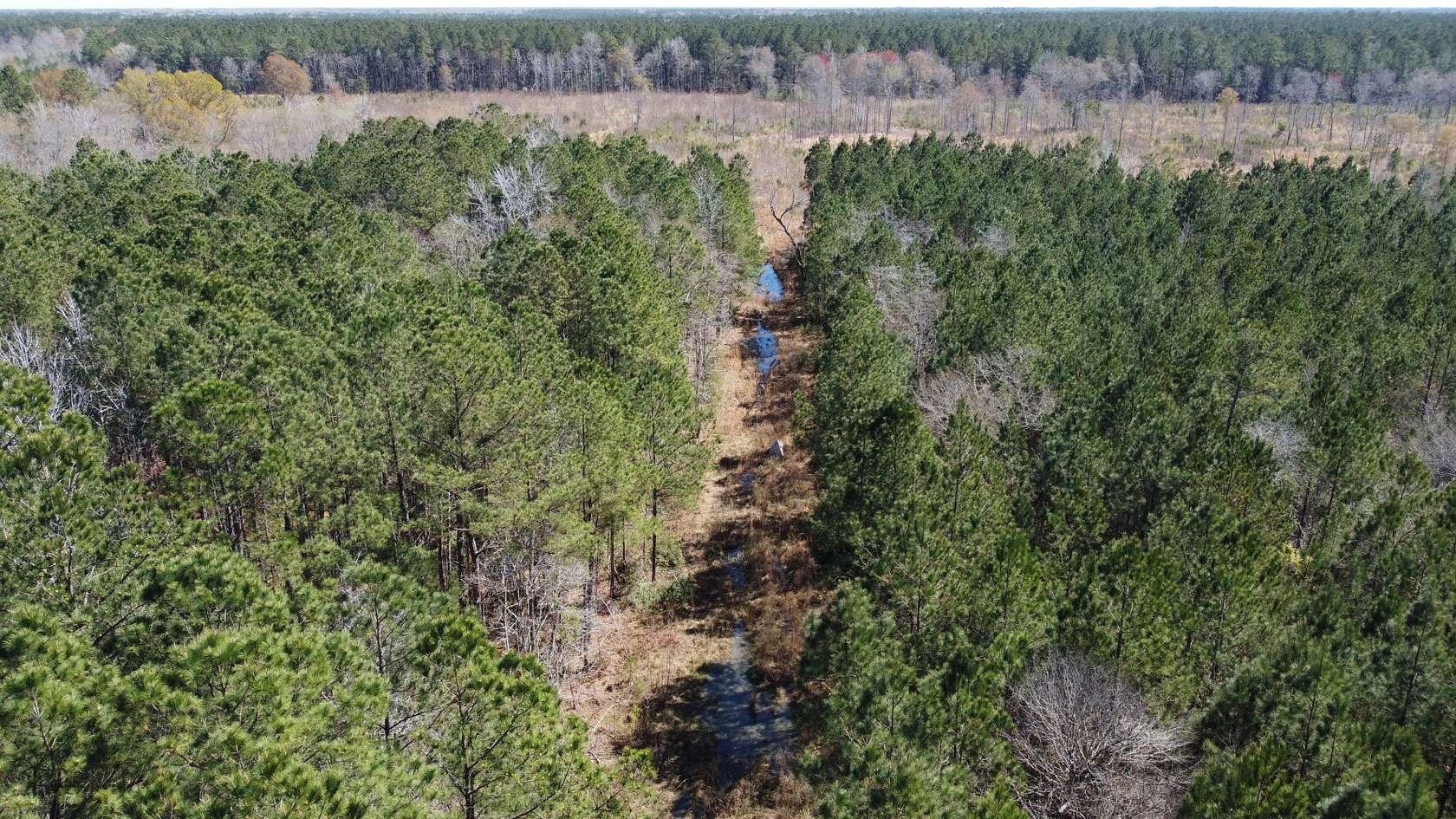 26 Acres of Recreational Land for Sale in Trio, South Carolina
