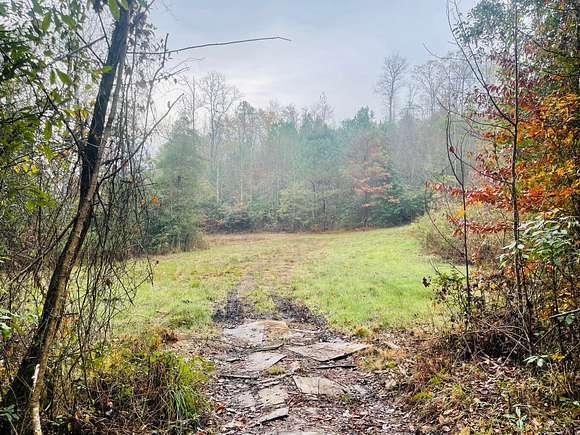 36 Acres of Recreational Land for Sale in Tuscaloosa, Alabama
