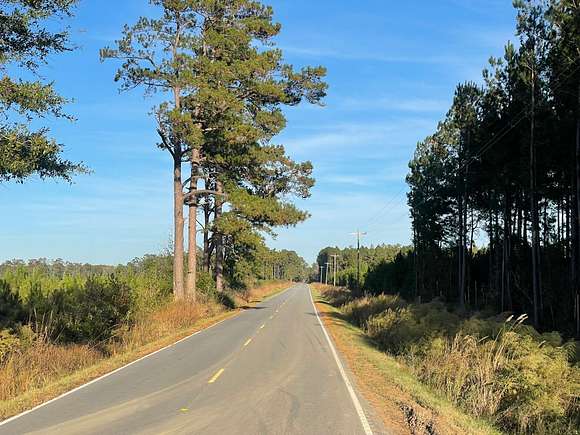 195 Acres of Recreational Land for Sale in Hemingway, South Carolina