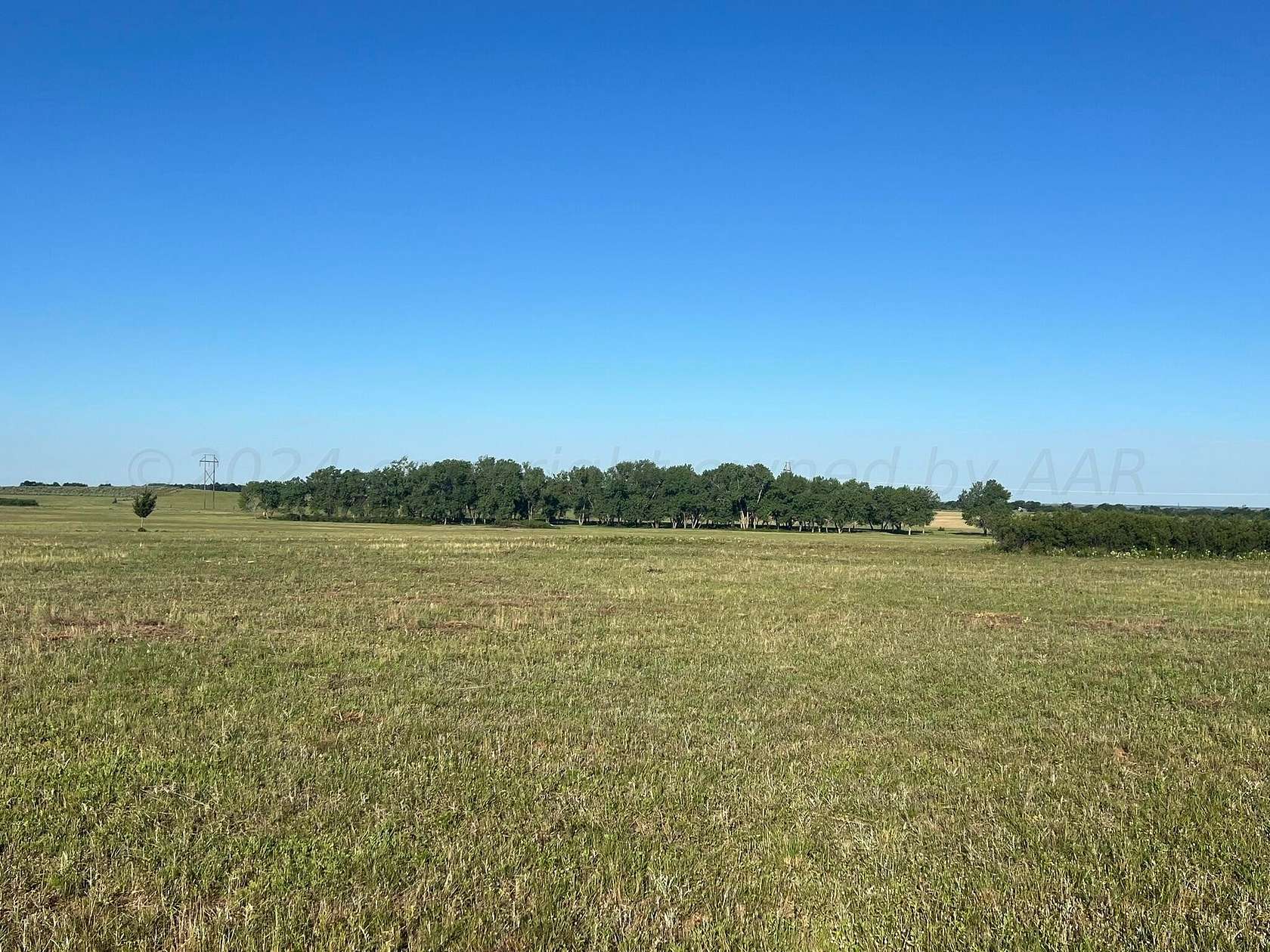 28.7 Acres of Agricultural Land for Sale in Wellington, Texas