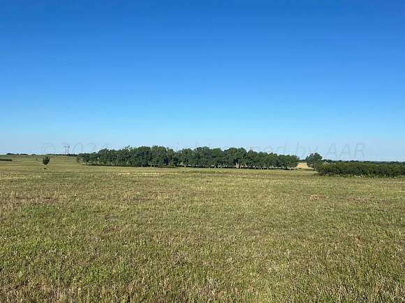 28.7 Acres of Agricultural Land for Sale in Wellington, Texas