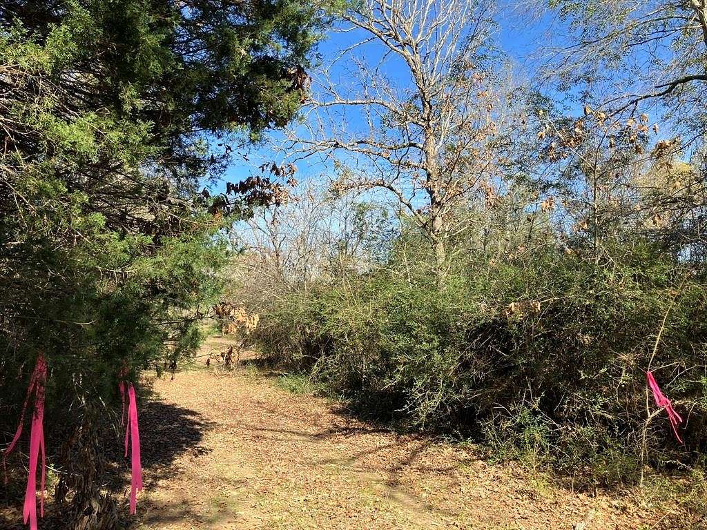 8.6 Acres of Residential Land for Sale in Oakwood, Texas