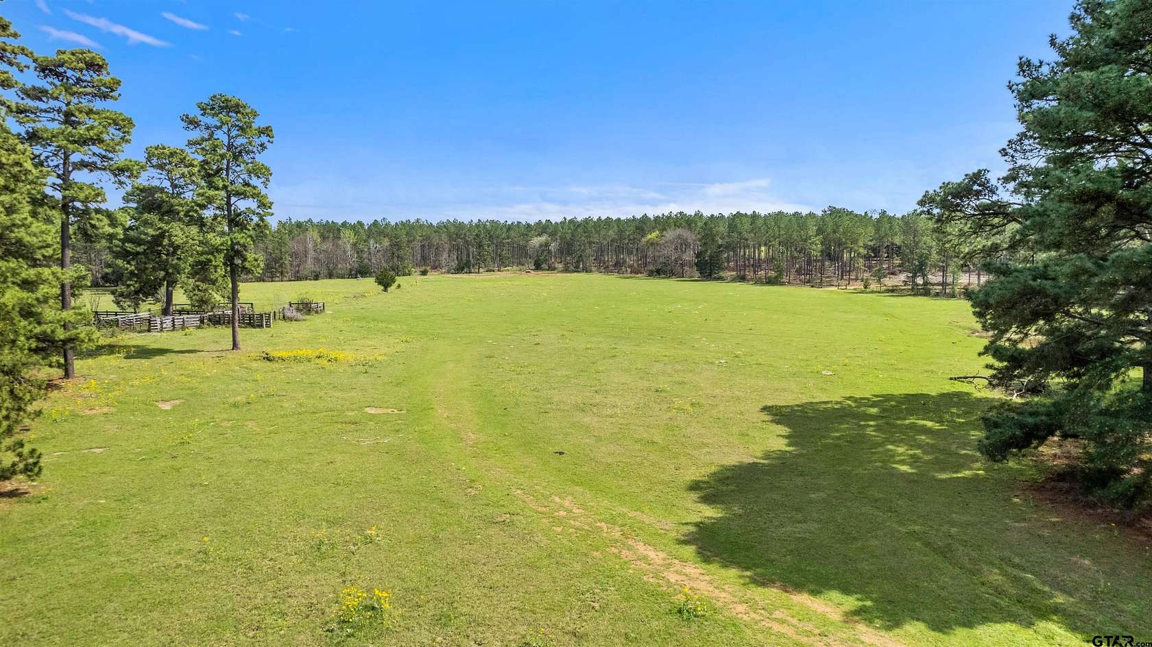 37.2 Acres of Recreational Land for Sale in Palestine, Texas