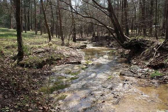 10 Acres of Residential Land with Home for Sale in Marble Falls Township, Arkansas