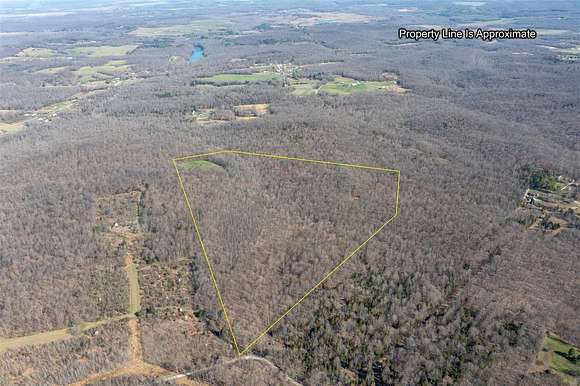 59.5 Acres of Land for Sale in Morgantown, Kentucky