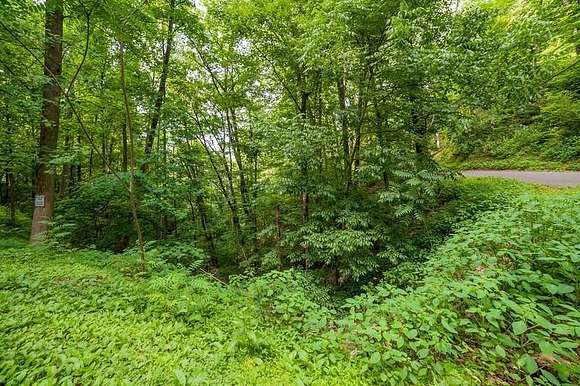 1.3 Acres of Residential Land for Sale in Sevierville, Tennessee