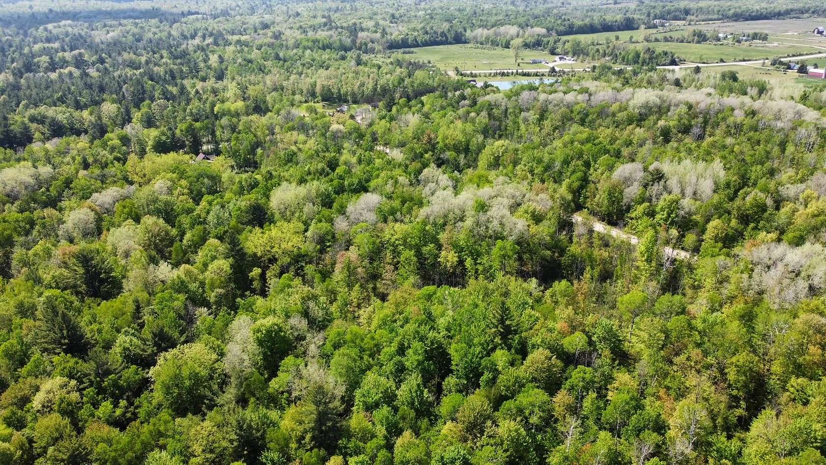 12.3 Acres of Recreational Land for Sale in Gladwin, Michigan