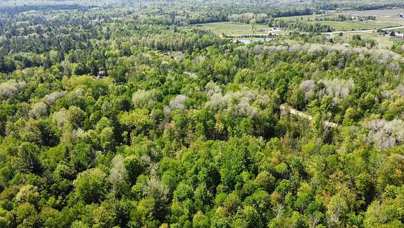 12.3 Acres of Recreational Land for Sale in Gladwin, Michigan