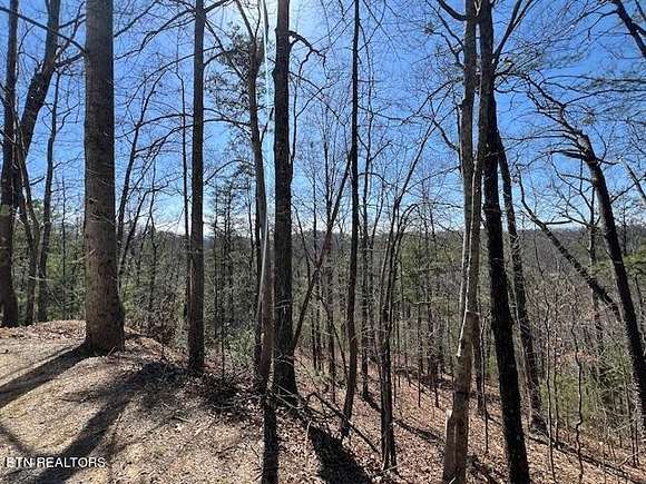 6.1 Acres of Residential Land for Auction in Walland, Tennessee