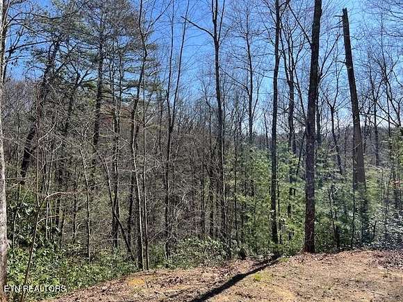 5.1 Acres of Residential Land for Auction in Walland, Tennessee