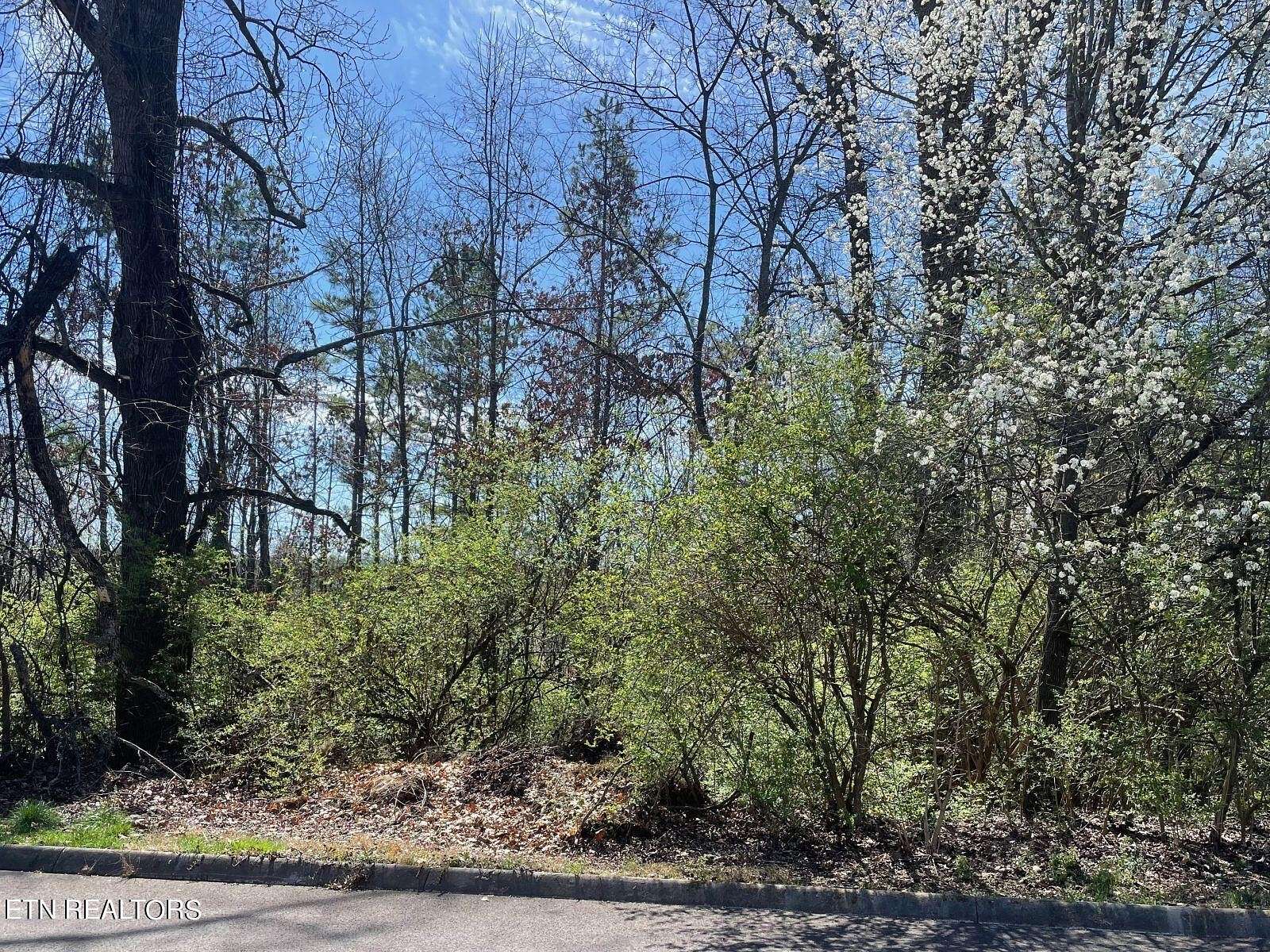 0.32 Acres of Residential Land for Sale in Knoxville, Tennessee