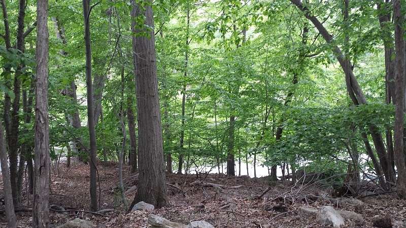 0.25 Acres of Residential Land for Sale in Hopatcong, New Jersey
