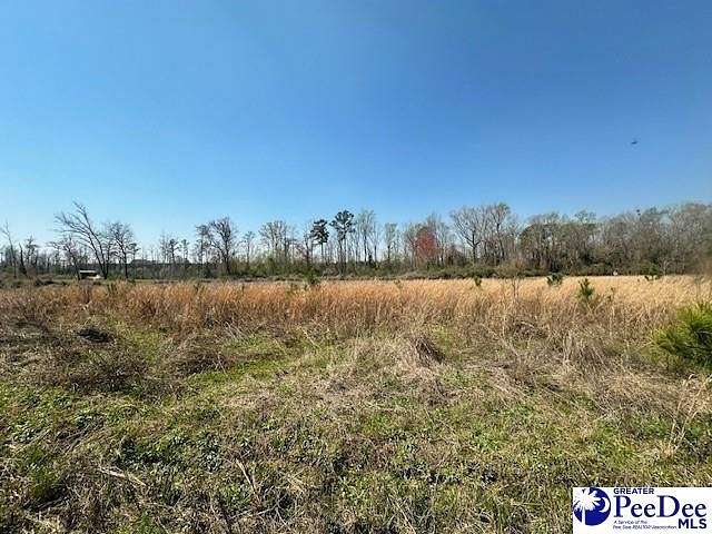 2.5 Acres of Residential Land for Sale in Johnsonville, South Carolina