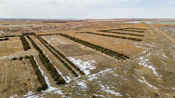 934 Acres of Improved Recreational Land & Farm for Sale in Hayes Center, Nebraska