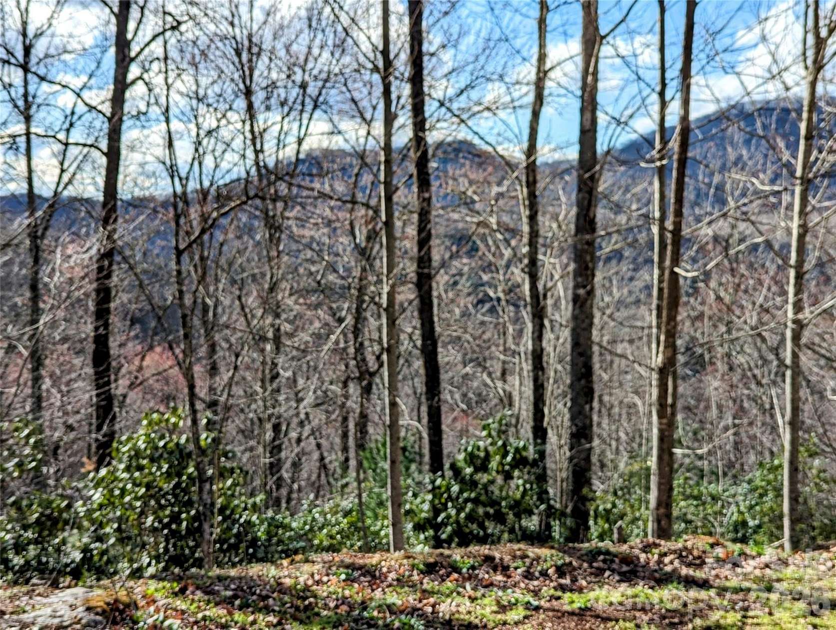 12 Acres of Recreational Land for Sale in Tuckasegee, North Carolina