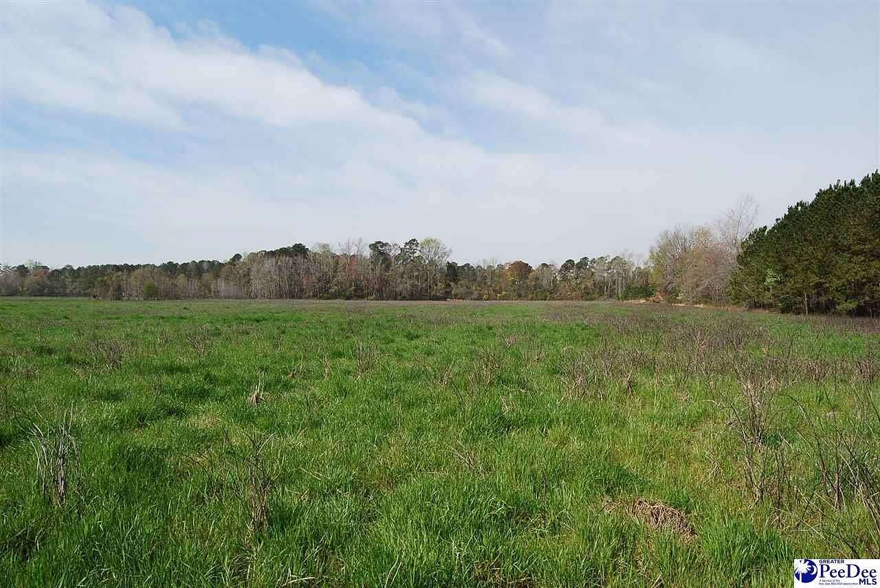 12.6 Acres of Land for Sale in Effingham, South Carolina