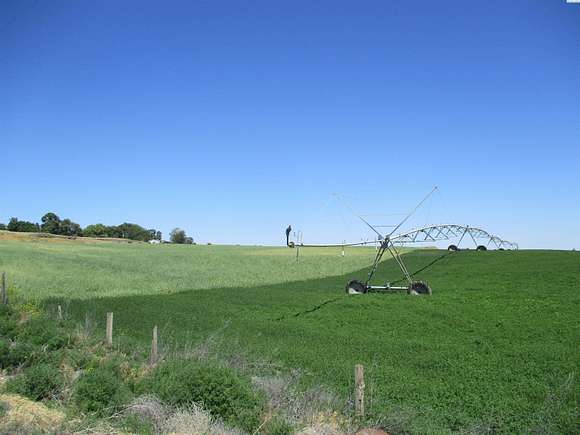 236.8 Acres of Agricultural Land for Sale in Mesa, Washington